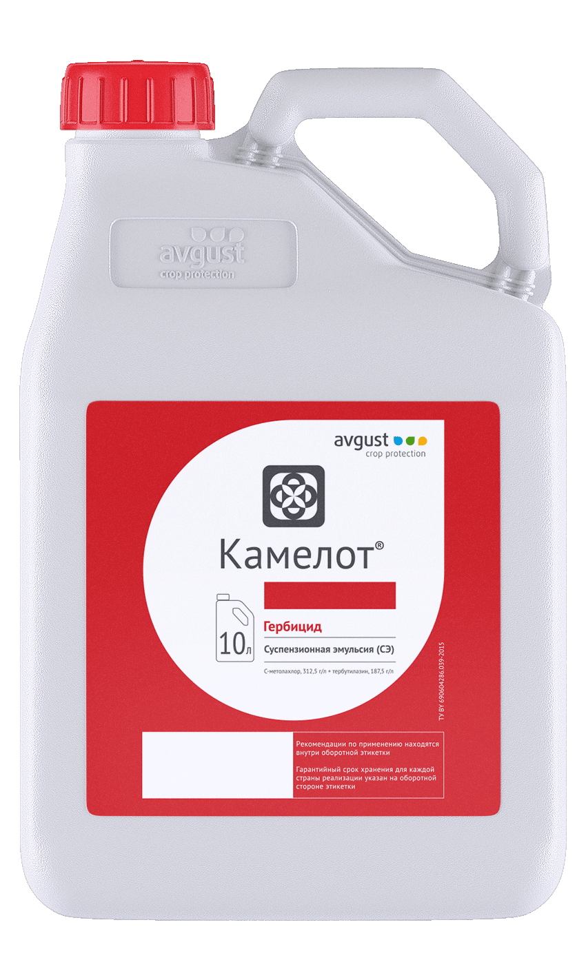 Камелот